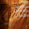 Querida Madre artwork