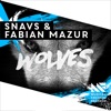 Wolves - Single