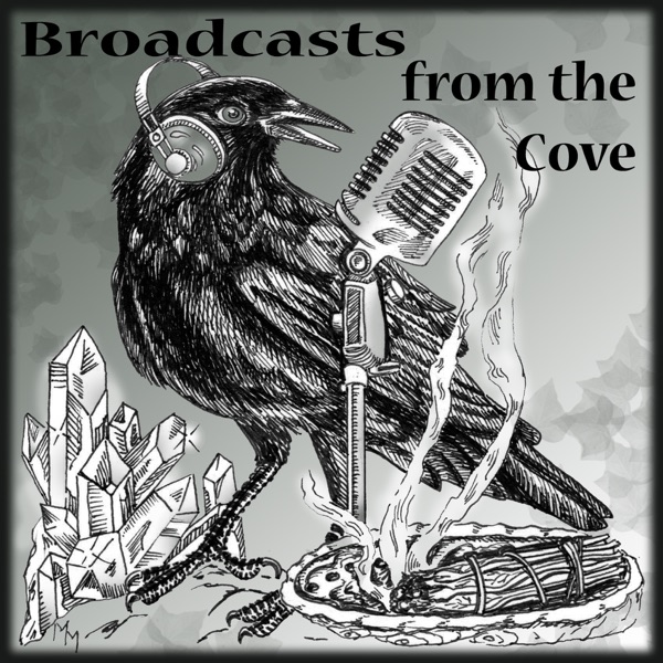 Broadcasts from the Cove cover