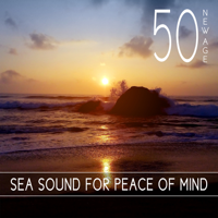 Music to Relax in Free Time - 50 New Age: Sea Sound for Peace of Mind - Calming Instrumental Music to Reduce Stress, Rainforest & Nature Sounds, White Noise, Sleep Meditation Music, Relax, Yoga Songs artwork