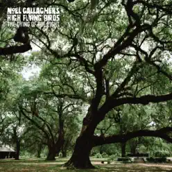 The Dying of the Light - Single - Noel Gallagher's High Flying Birds The Dying of the Light - Single - Noel Gallagher's High Flying Birds