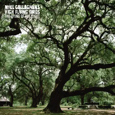 The Dying of the Light - Single - Noel Gallagher's High Flying Birds