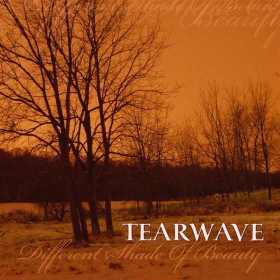 Cover artwork for Ripped Apart