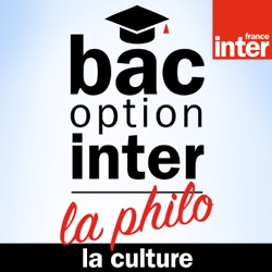 La culture - Bac Philo Option Inter