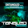 EnTangled, Vol. 01: Mixed By Cory Goldsmith