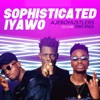 Sophisticated Iyawo (Remix) [feat. Terry Apala] - Single