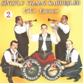 Şaşkın artwork