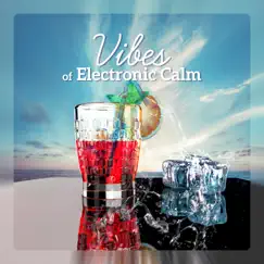 Vibes of Electronic Calm: Uplifting Beats, Trip Session, Flight Illusion by Chill Music Universe album reviews, ratings, credits