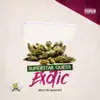 Stream & download Exotic - Single