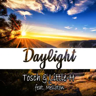 Daylight (feat. Melloton) by Tosch & Little-H song reviws