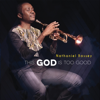 You Are God (feat. Chigozie Achugo) - Nathaniel Bassey