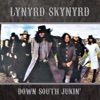Lynyrd Skynyrd - What’s Your Name? (Remastered)