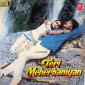 Teri Meherbaniyan artwork