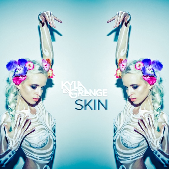 Cover artwork for Skin