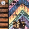 Pura Marimba. Música de Guatemala para los Latinos, 2015