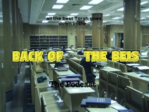 Welcome to Back of the Beis!