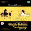 Dilwale Dulhania Le Jayenge (Original Motion Picture Soundtrack) [Dialogues Version], 2013