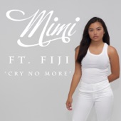 Cry No More (feat. Fiji) artwork