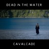 Dead in the Water - Single