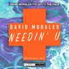 Needin' U (Original Mistake Mix) - Single