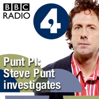 Punt PI podcast