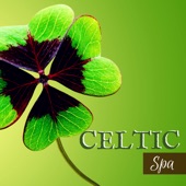 Celtic Spa - A New Journey into Relaxation with Nature Sounds Music and Irish Harp artwork