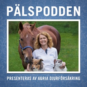 Pälspodden