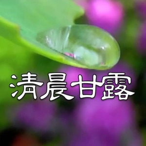 12月31日清晨甘露