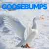 Goosebumps (feat. Jost Music) - Single album lyrics, reviews, download