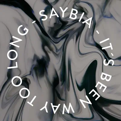 It's Been Way Too Long (Radio Edit) - Single - Saybia