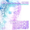 Trance Dance Ecstasy, Vol. 1