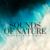 Sounds of Nature - Waves and Rain for Deep Relaxation - Rain Sounds & Sounds of Nature White Noise Relaxation Meditation