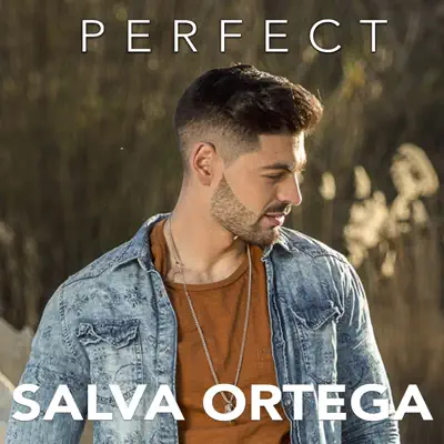 Perfect - Single - Salva Ortega