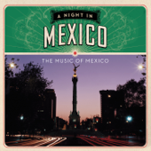 A Night In México - Various Artists