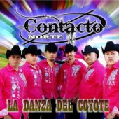 La Danza del Coyote artwork