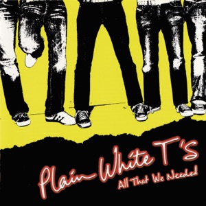 PLAIN WHITE TS