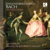 Francois Joubert-Caillet & L'Achéron - Ouverture in G Major: I. Ouverture