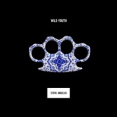 Steve Angello - Wasted Love (feat. Dougy)