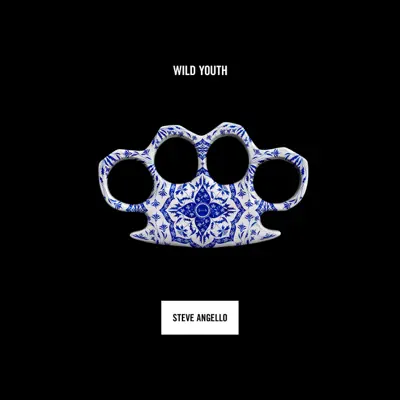 Wild Youth - Steve Angello