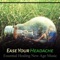 Anger Management (Lake Waves Sound) - Headache Relief Unit lyrics