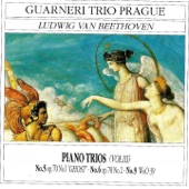 Piano Trio in D Major, Op. 70 No. 1: III. Presto artwork