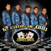 12 Éxitos de Oro (Remasterizado)