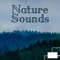 Anxiety Relief - Nature Sounds Associated Artists lyrics