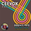 Ceevox Presents: Downtempo Rewind