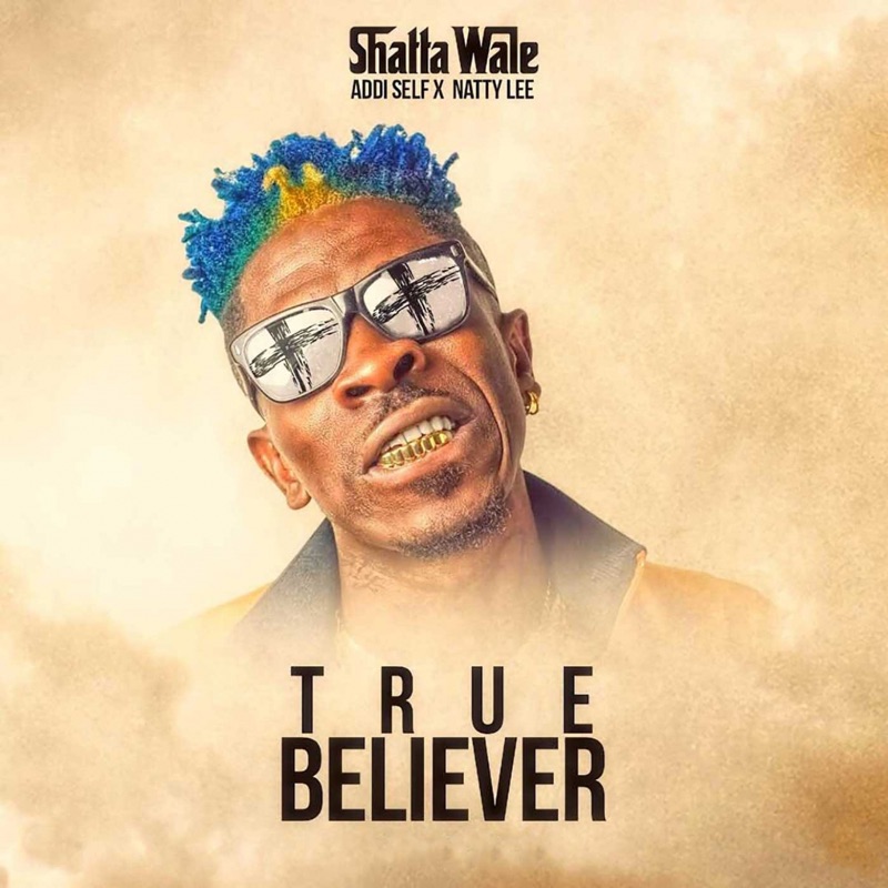 Self added. Lee Believer. True Believer. Addi Lee. True Belivers album.