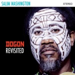 Salim Washington - You Can Fly