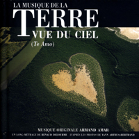 Armand Amar - La terre vue du ciel artwork