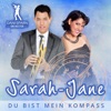 Du bist mein Kompass - Single