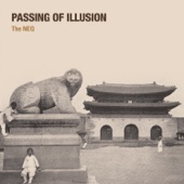 Passing of Illusion artwork