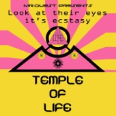 Look at Their Eyes It's Ecstasy (1989 - 1990 Rave) [Mr. Quest Presents] artwork